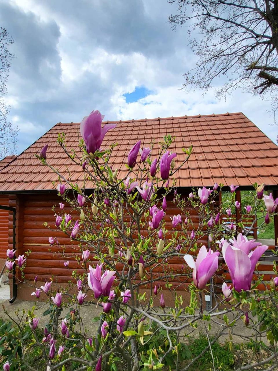 Baberius House in Serbia
