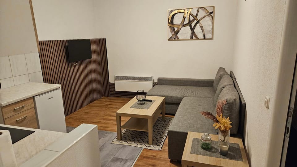 Apartman MIX2 Zagreb - Maksimir KBC Rebro Apartment in City of Zagreb