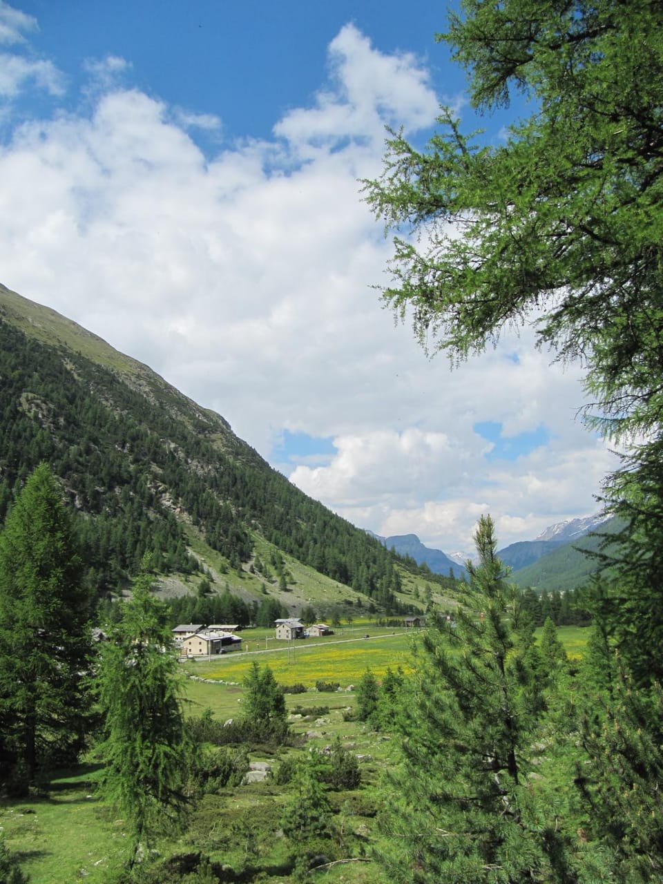 Summer, Hiking