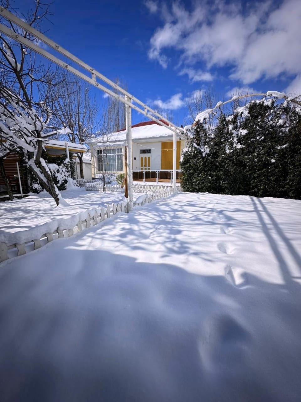 Property building, Restaurant/places to eat, Day, Winter, Swimming pool, Breakfast