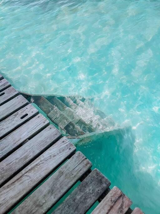 Vacation Home Blue Lotus- Gold Standard Certified House in Belize District