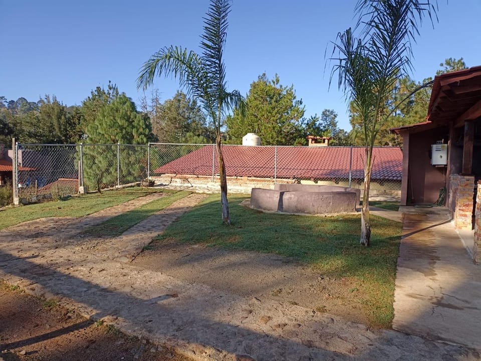 Natural landscape, Garden view, Parking