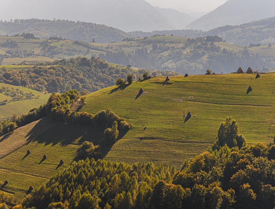 Natural landscape, Bird's eye view