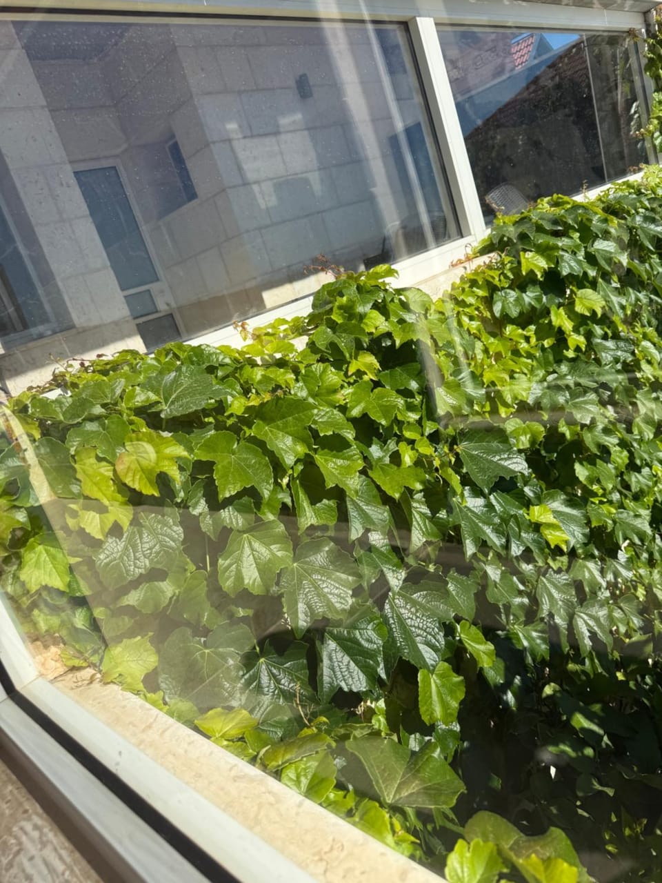 אל ויסו ורדה סוויטות יוקרה חד נס Nature lodge in North District
