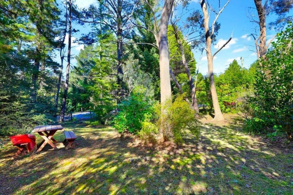 Cherry Tree Cottage House in Blue Mountains