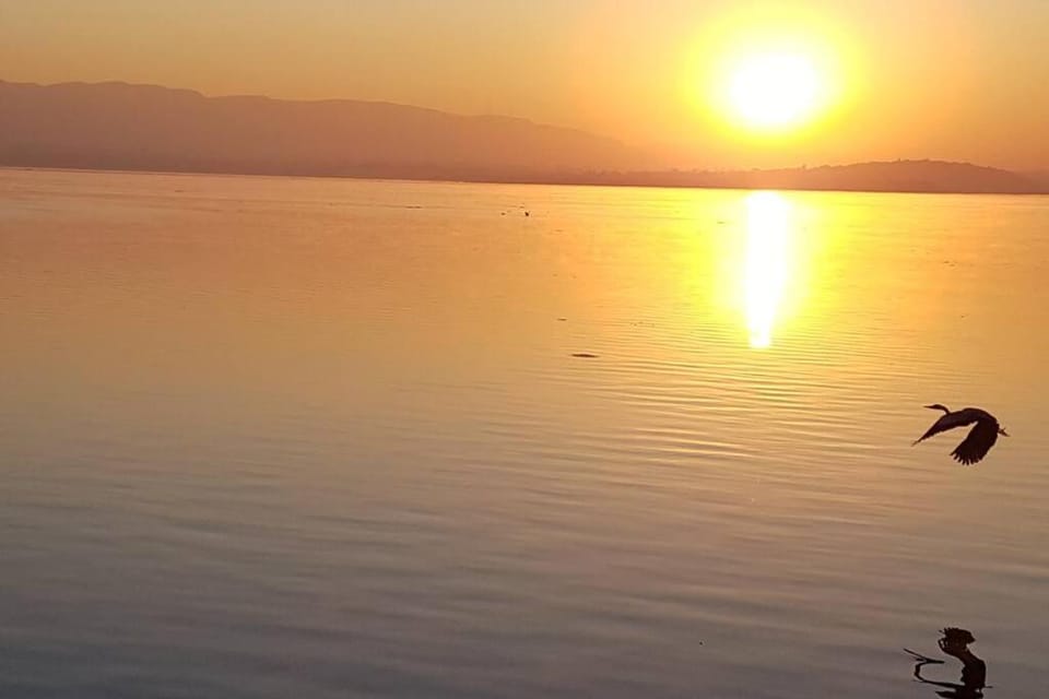 Sunrise