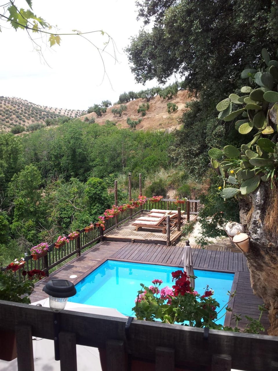 Swimming pool, Swimming pool