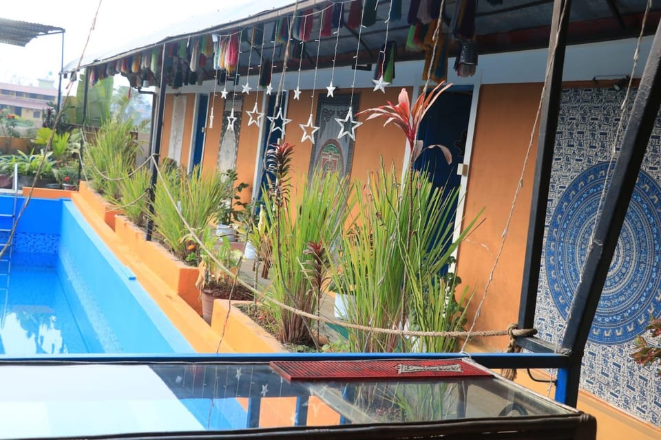 Garden, Garden view, Pool view, Swimming pool