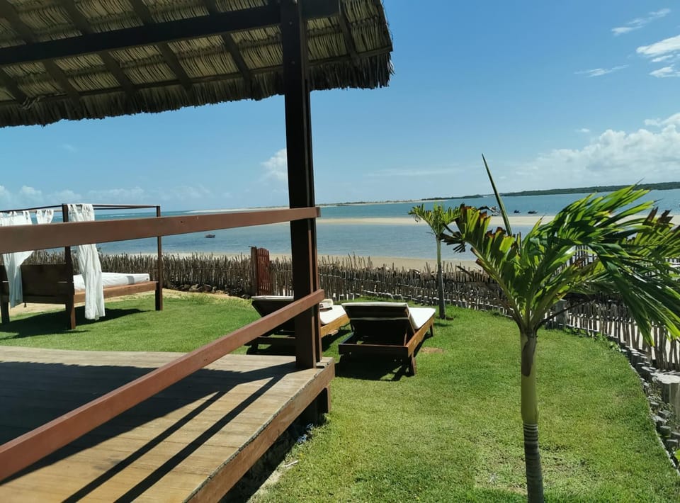 Garden, Sea view
