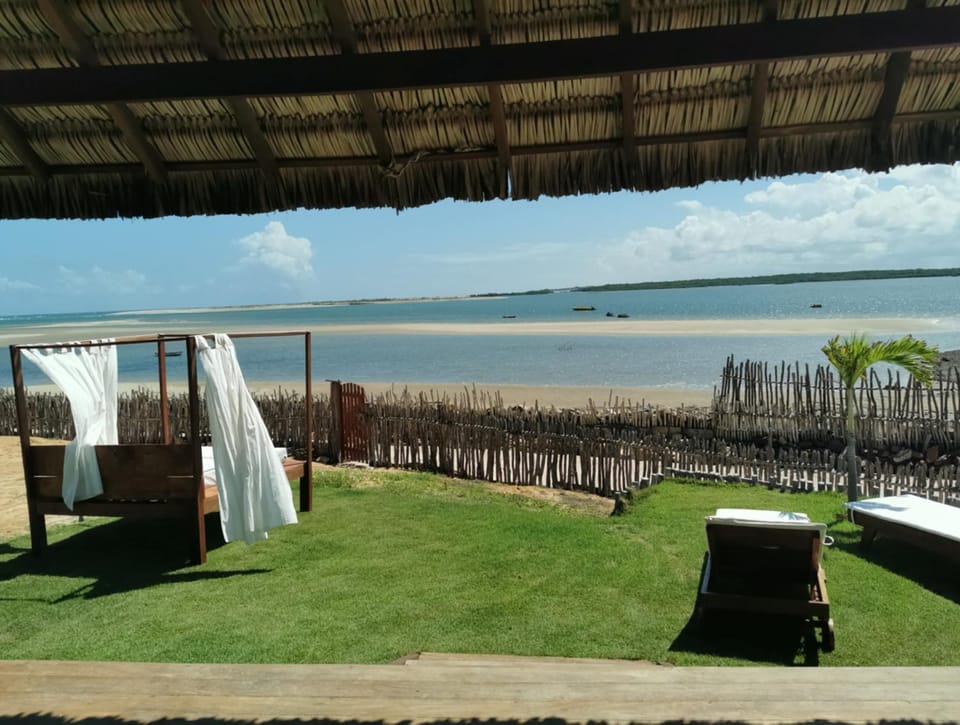 Natural landscape, Garden, Garden, Beach