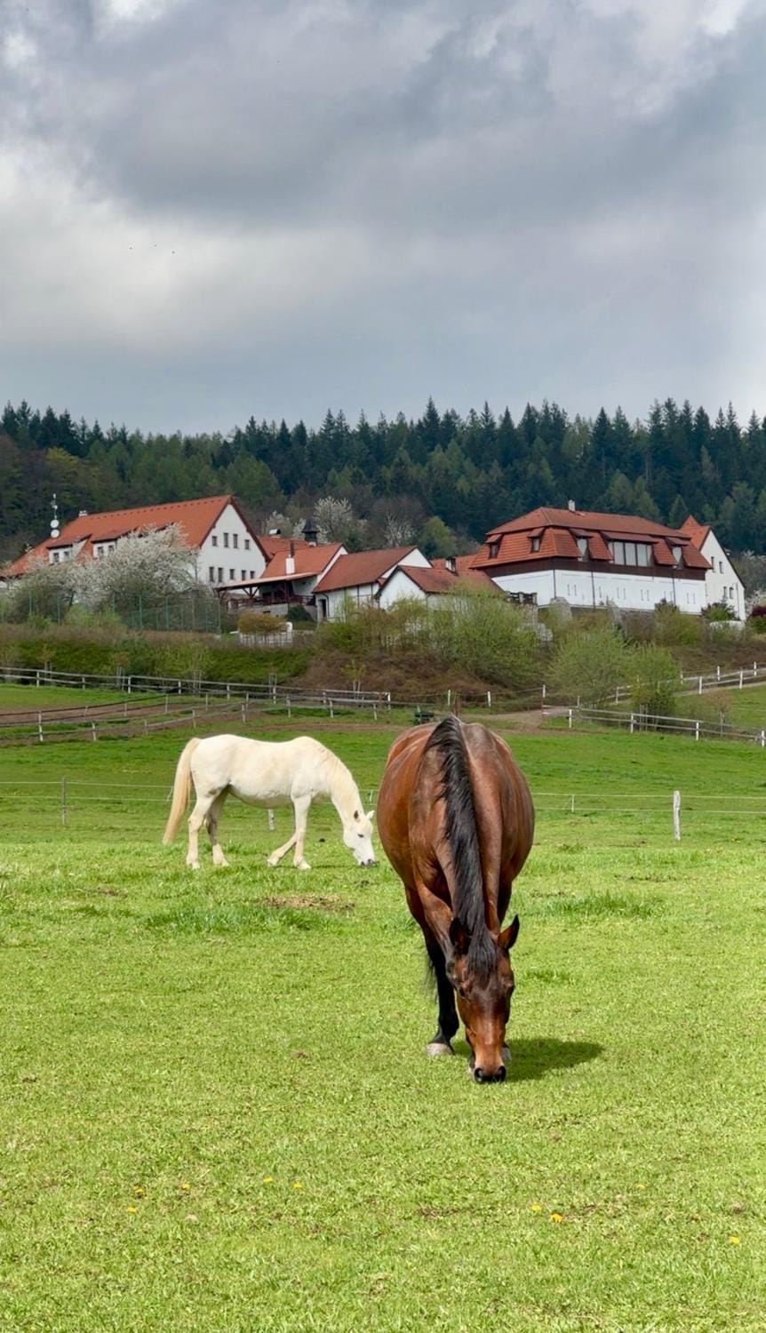 Property building, Animals
