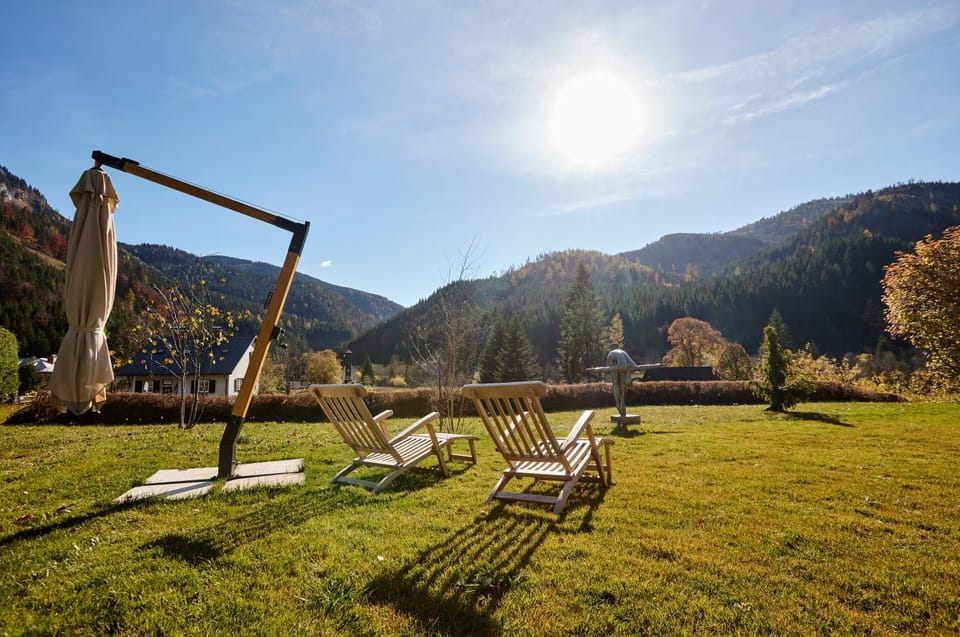 Spring, Summer, Garden, Other, Sunrise, Sunset, sunbed