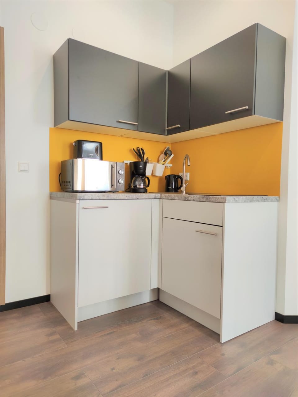 Coffee/tea facilities, Kitchen or kitchenette, minibar, oven, stove