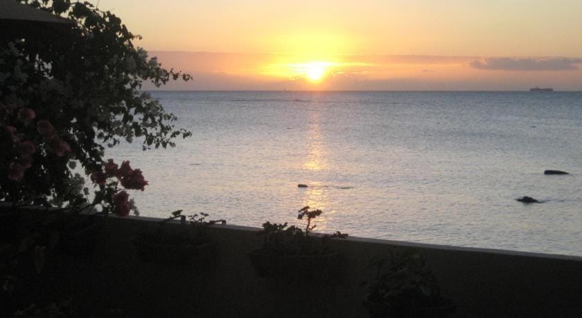 Le cactus guesthouse Bed and Breakfast in Mauritius