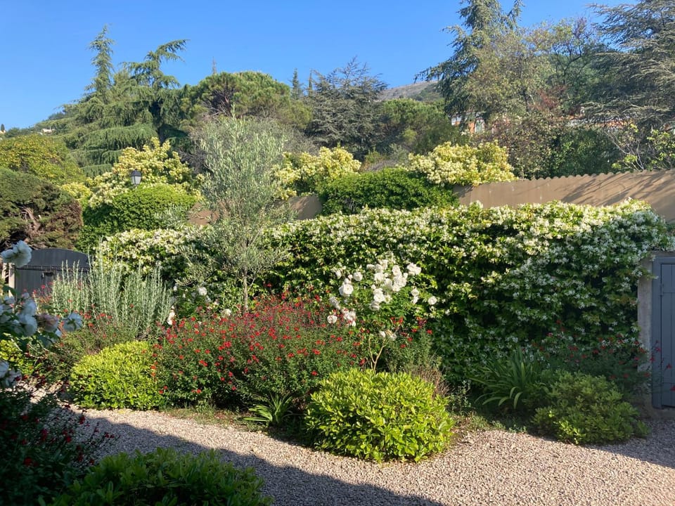 Beautiful Villa Vence Provence Villa in Vence