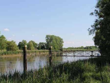 River view