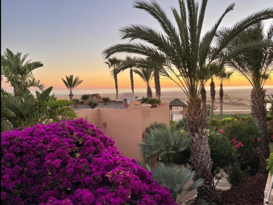 Spring, Day, Natural landscape, Garden, Garden, Beach, Garden view, Sea view, Sunrise, Sunset