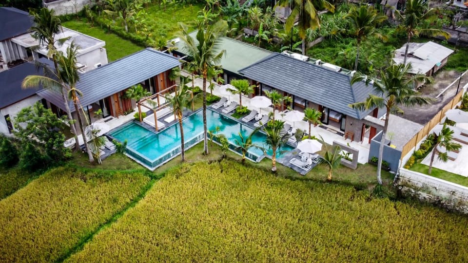 Property building, Natural landscape, Bird's eye view, Garden, Garden view, Pool view, Swimming pool, internet