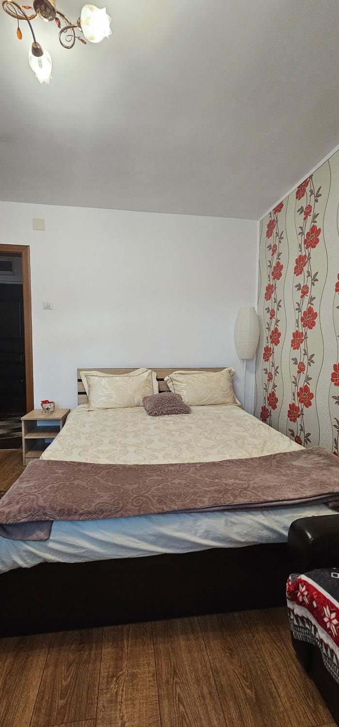Casa Suzana Apartment in Romania