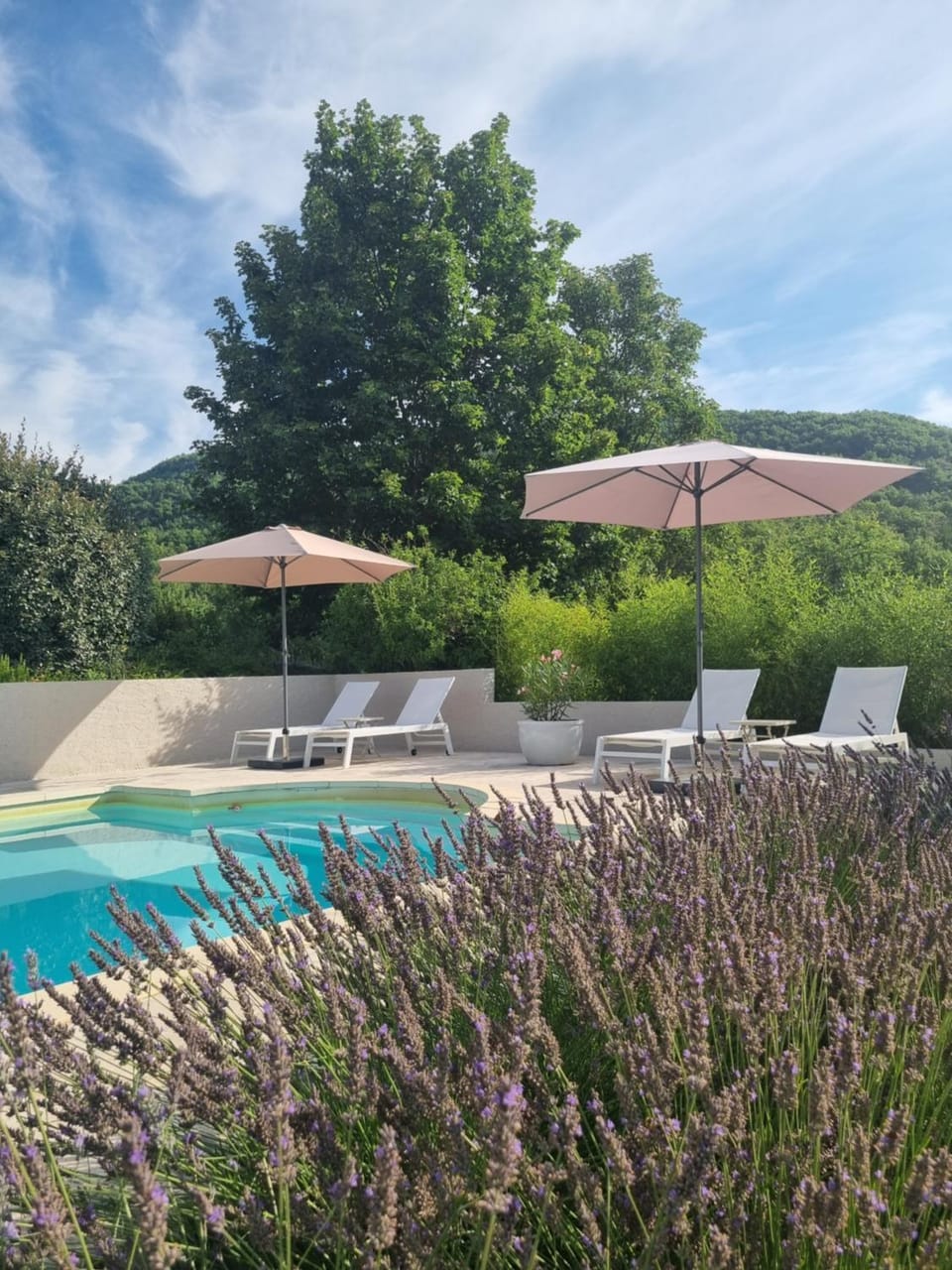 View (from property/room), Garden view, Mountain view, Mountain view, Pool view, Swimming pool