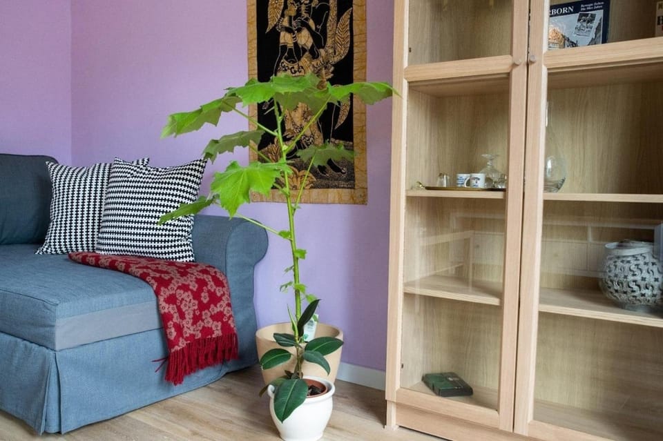 farbenfrohe Ferienwohnung Apartment in Detmold
