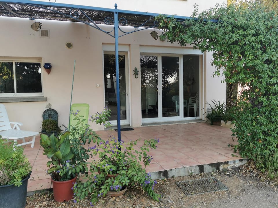 Patio, Facade/entrance