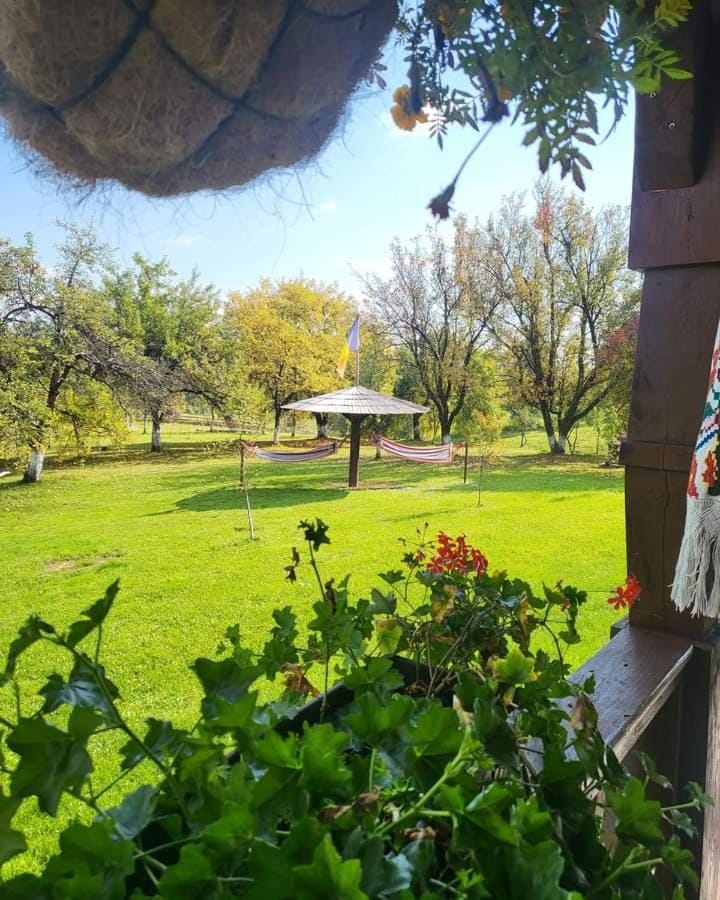 Agropensiunea Pe Poderei Farm Stay in Romania