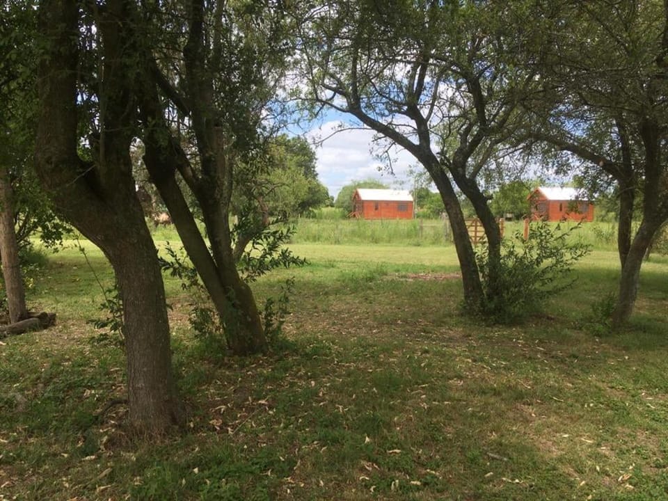 Chacra Mandala House in Entre Ríos Province, Argentina