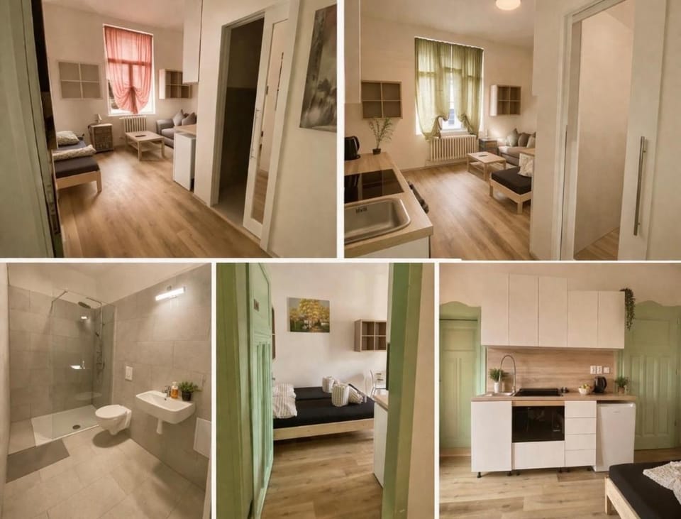 Vintage Apartment Ostrava centrum - Free Parking Apartment in Czechia