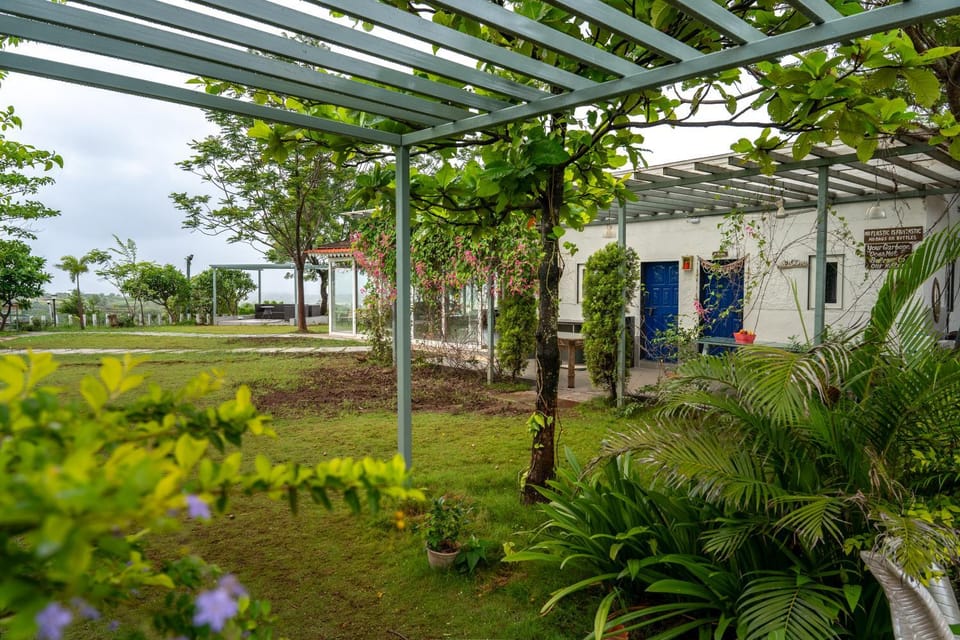 Property building, Spring, Day, Natural landscape, Garden, Garden view
