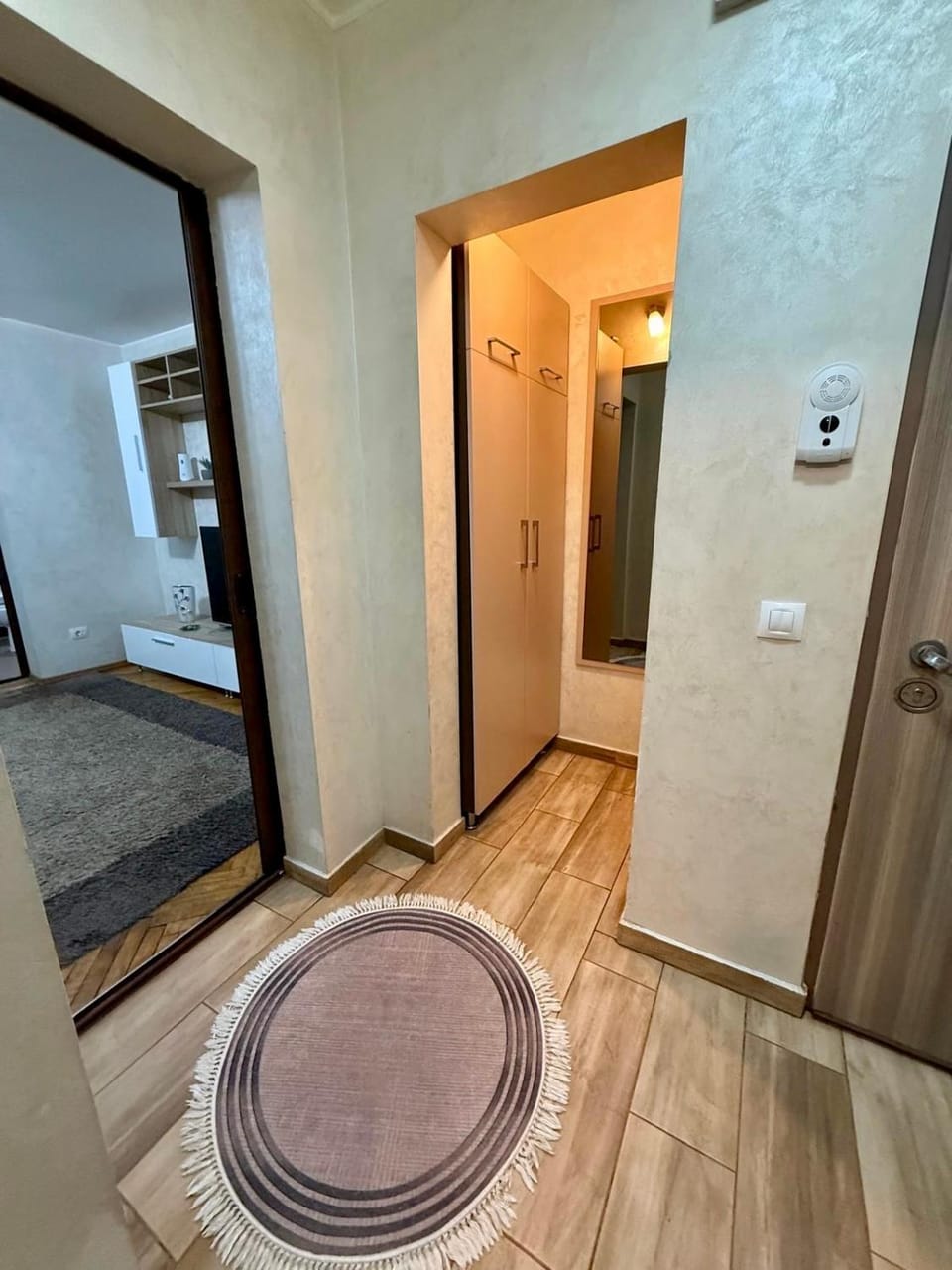 Zen Apartment Apartment in Romania