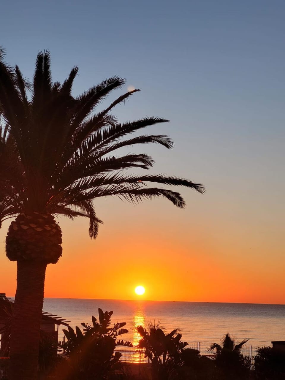Sunrise