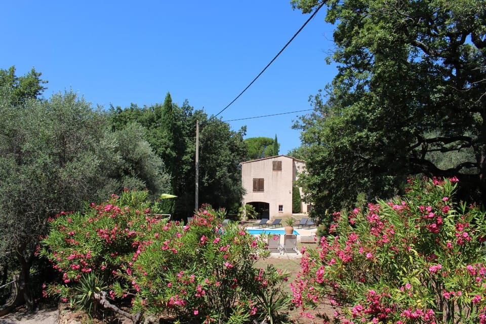 Garden, Swimming pool