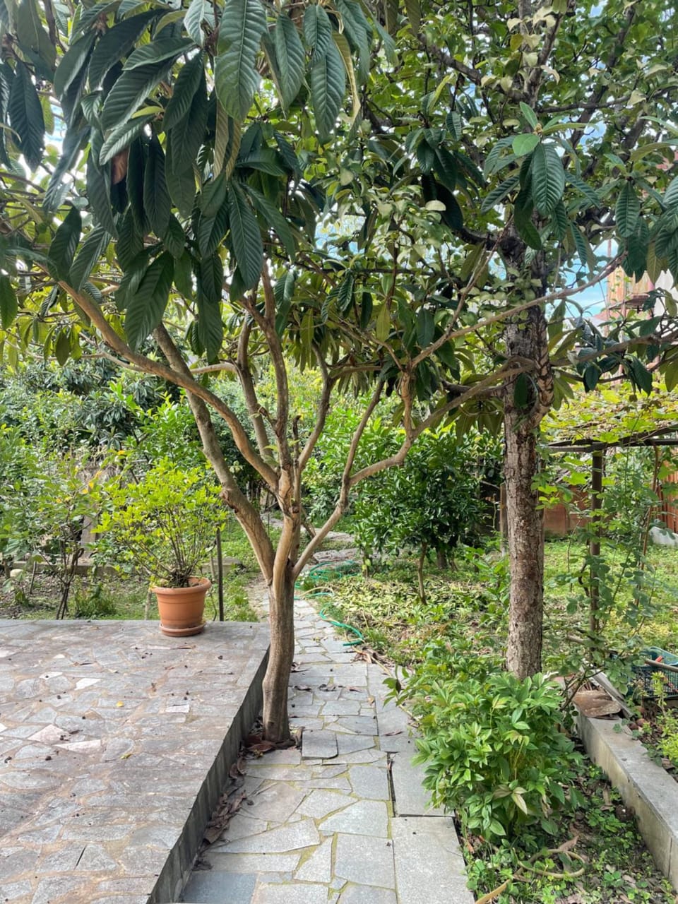 GARDENIE Apartment in Georgia
