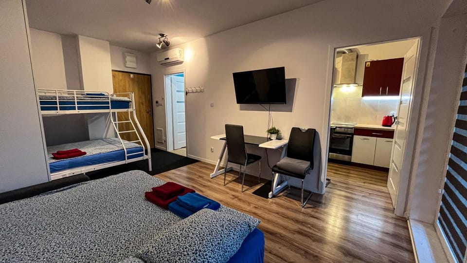 Apartament Lublin Stare Miasto "Bob Cat" FREE PARKING Apartment in Masovian Voivodeship