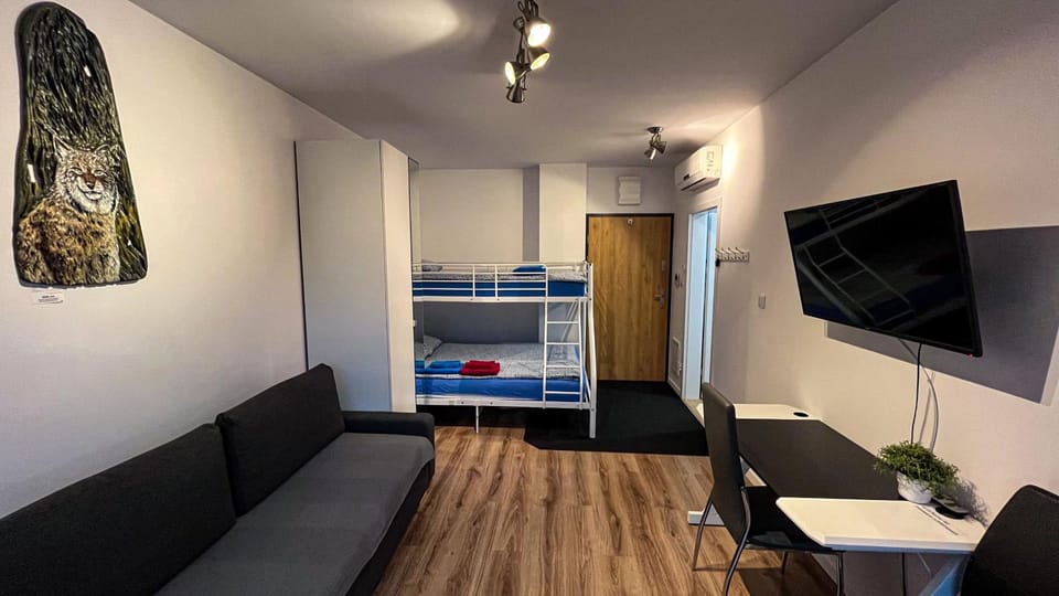 Apartament Lublin Stare Miasto "Bob Cat" FREE PARKING Apartment in Masovian Voivodeship