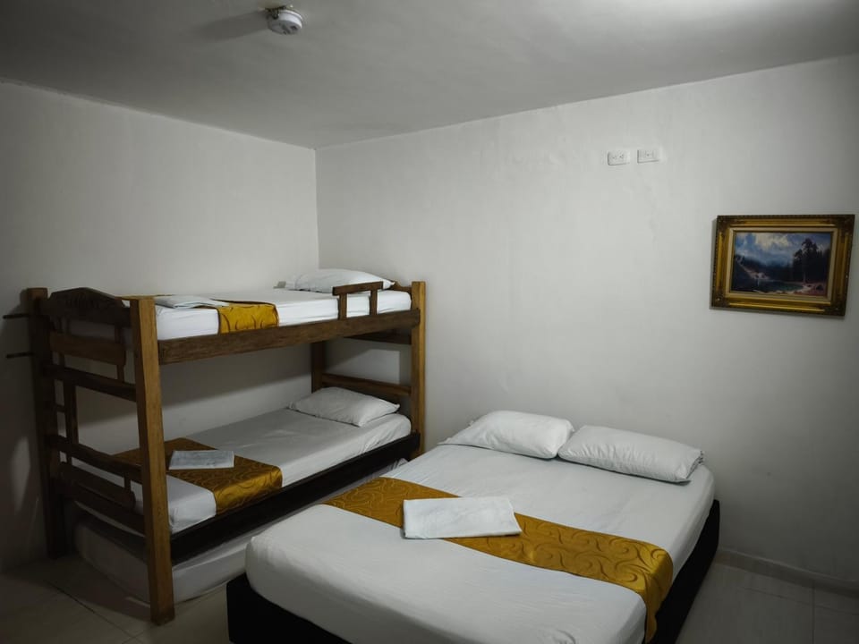 Bed, Photo of the whole room, Bedroom, bunk bed