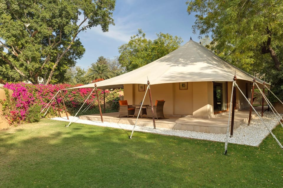 Patio, Natural landscape, Garden