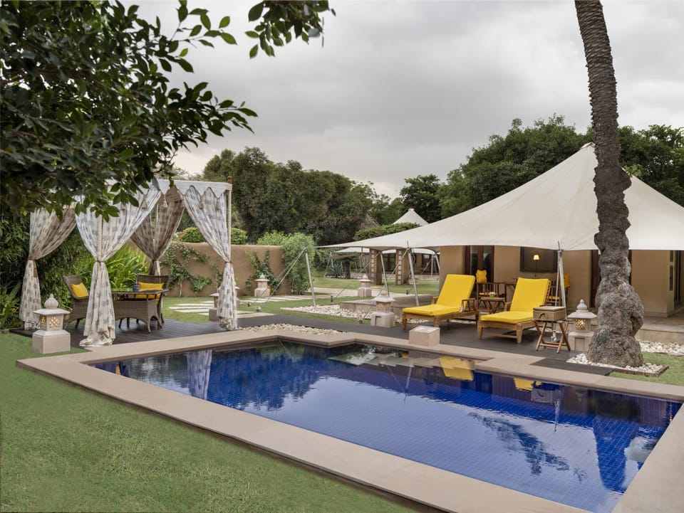 Patio, Garden, Garden view, Swimming pool, sunbed