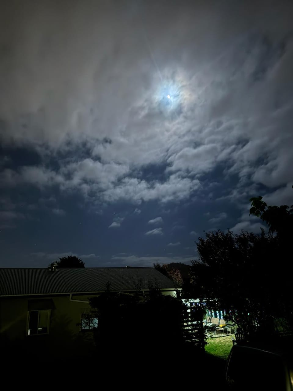 Night
