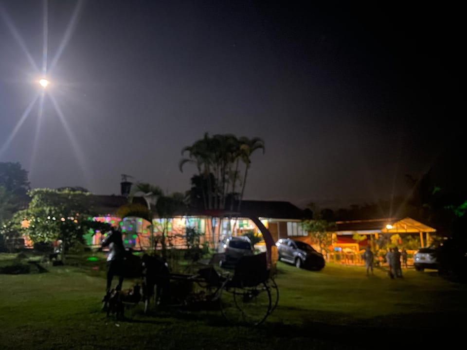 Night, Natural landscape, Garden, Garden view