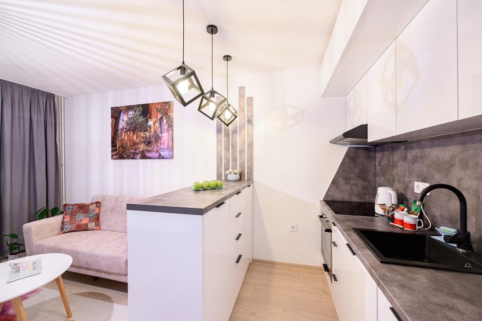 Coffee/tea facilities, Kitchen or kitchenette, Photo of the whole room, minibar, stove, kitchen