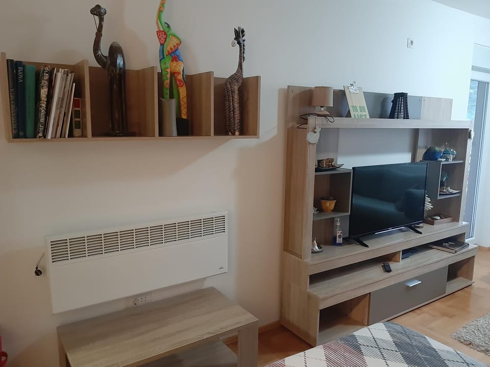 Apartment Ana Apartment in Budva