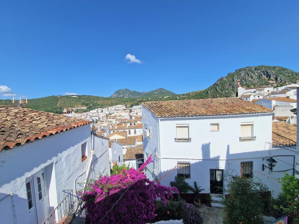 View (from property/room)