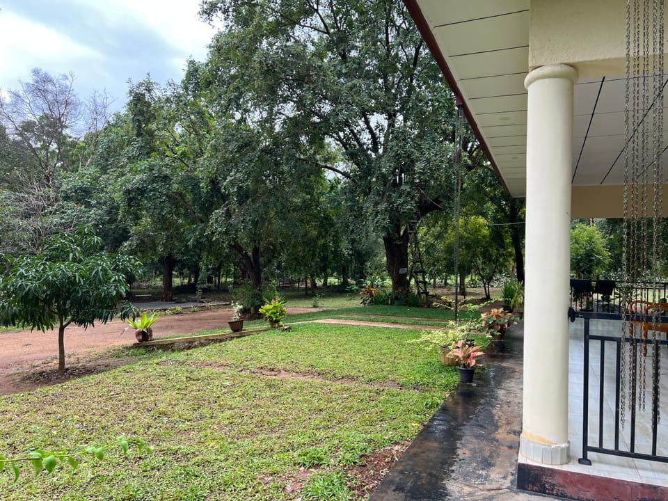 Garden view