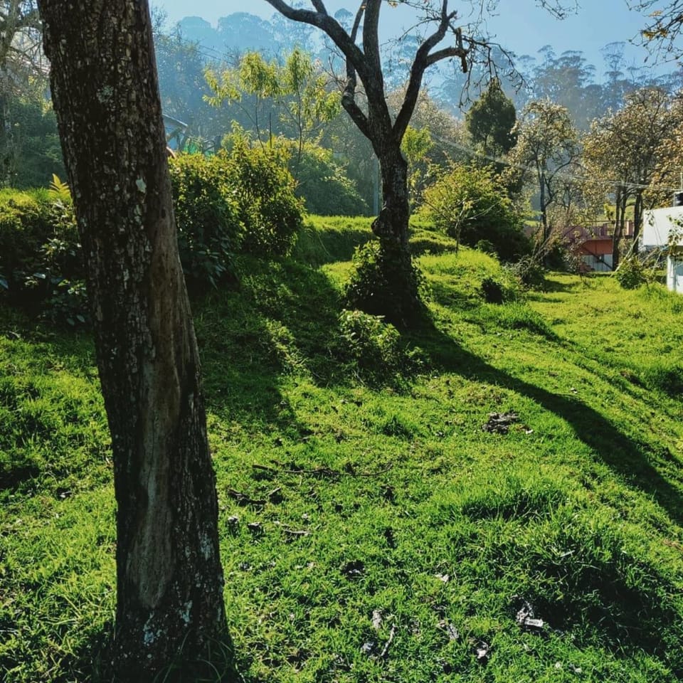 Natural landscape, Garden