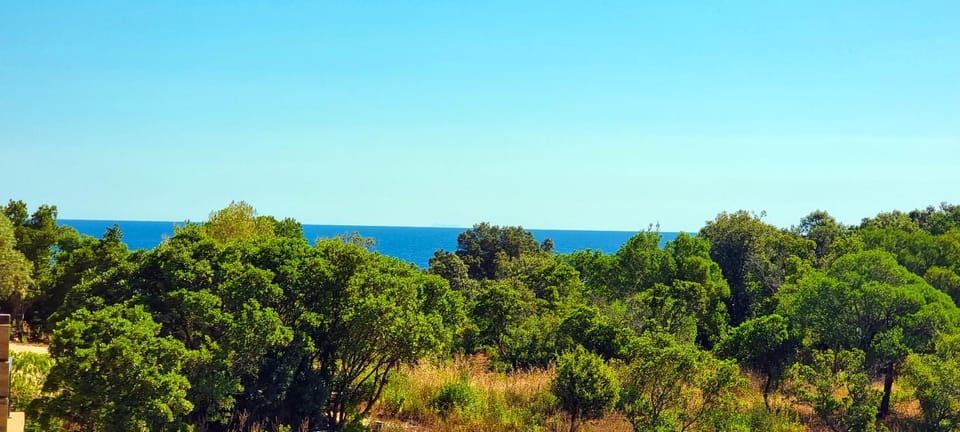 Sea view
