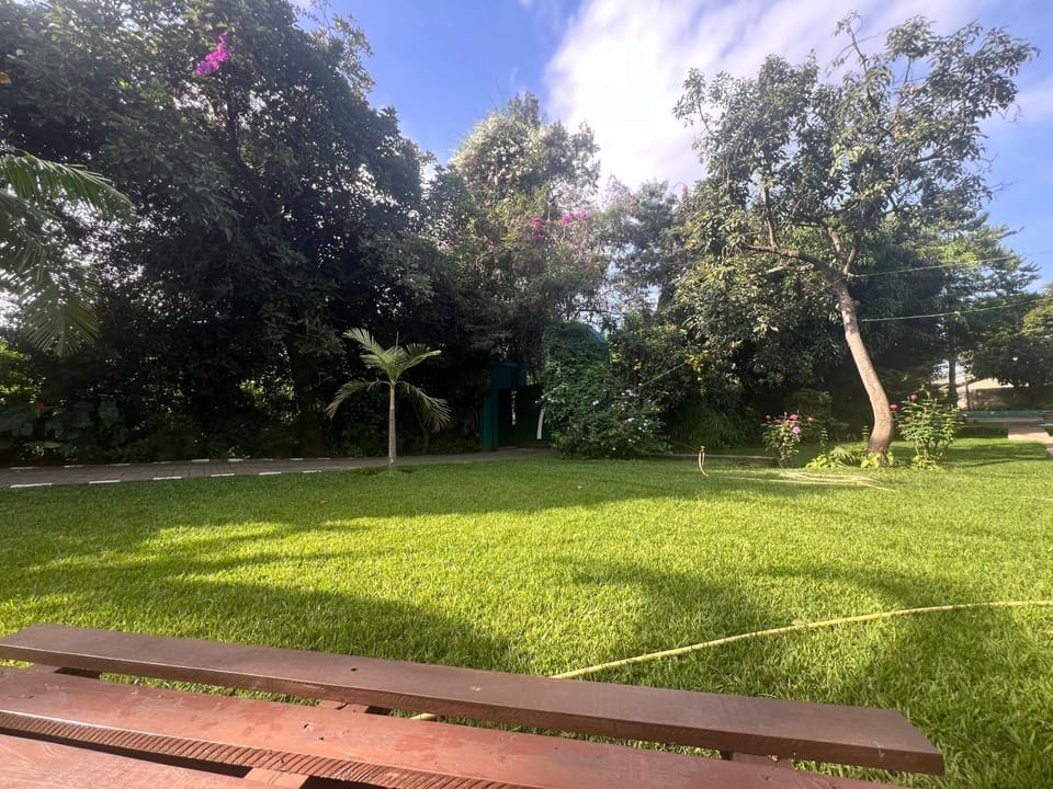Garden view