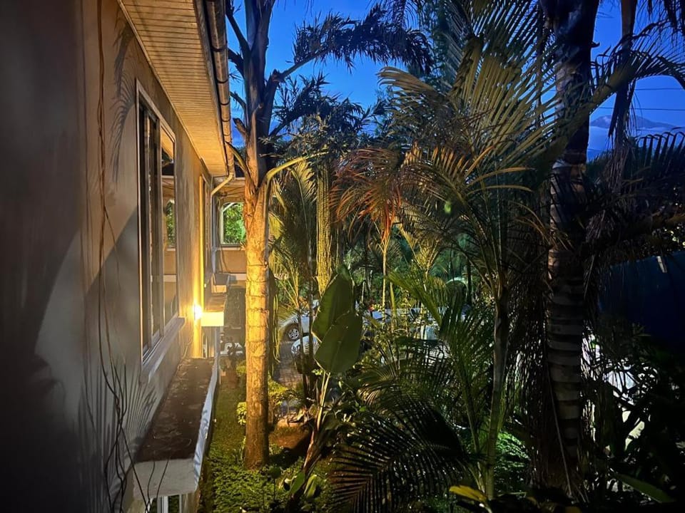Night, Garden