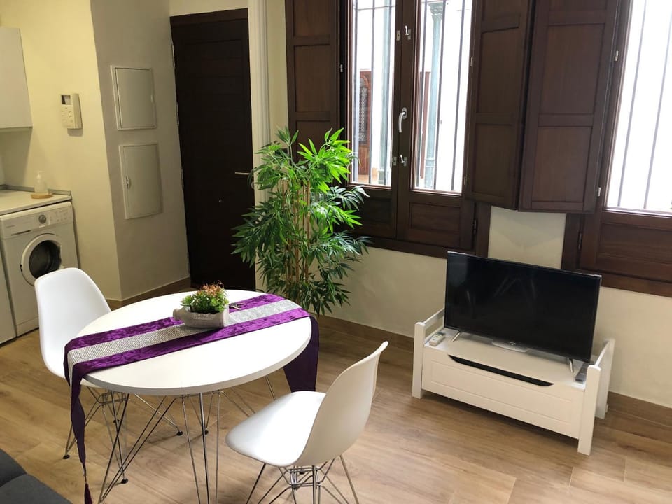 Coqueto apartamento céntrico Apartment in Cordoba